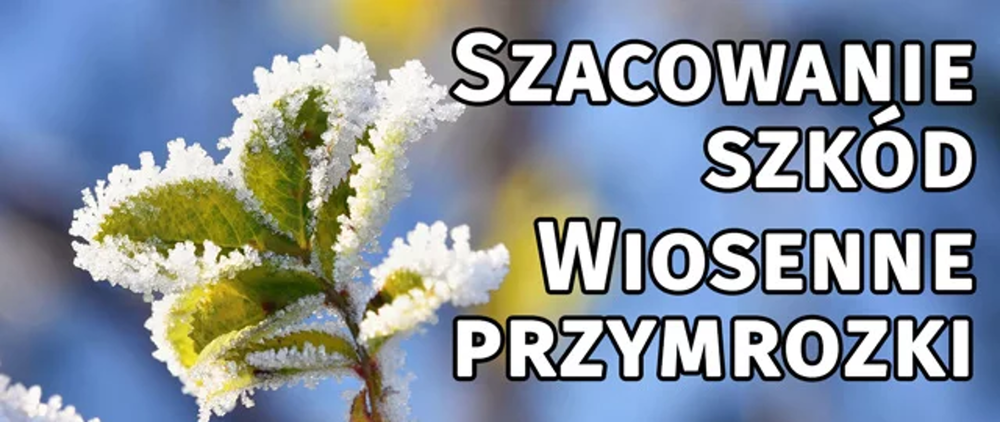 Wnioski o oszacowanie strat, które wystąpiły szkody w uprawach wskutek wiosennych przymrozków